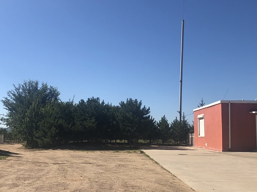 苗木環(huán)境一角