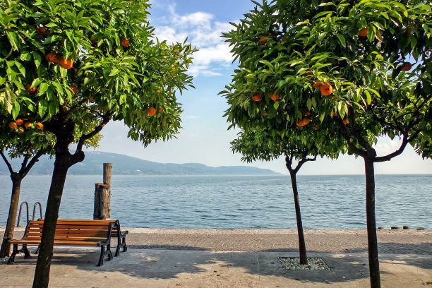 如何做好夏季苗木養(yǎng)護管理？
